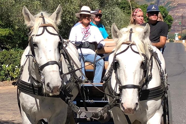 1h30m - Wine Tasting Carriage Trail - Photo 1 of 11